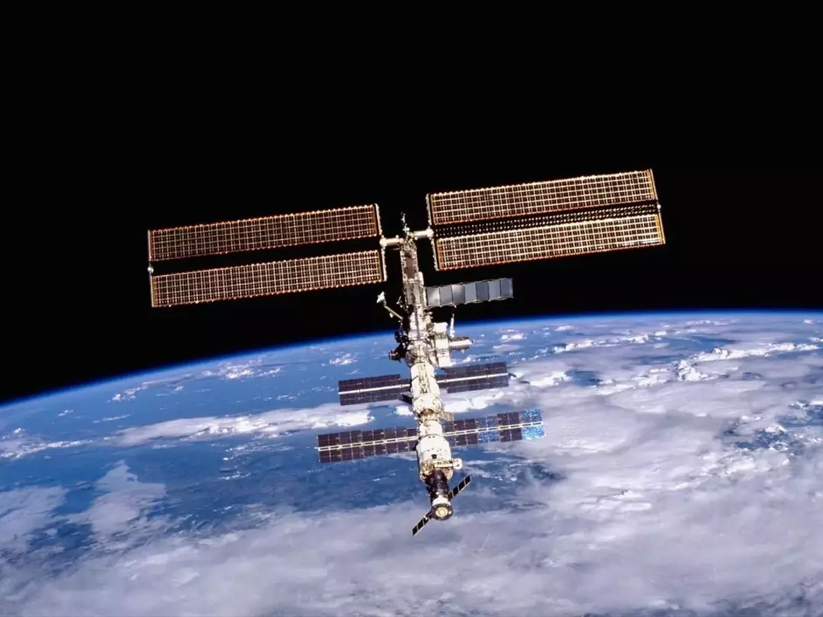 Moos "erobert" den Weltraum: Eine potentielle Grünfläche für Mond und Mars?