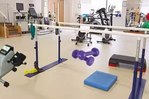 Rehabilitation Training Devices: A Neutral Scientific Overview of Principles