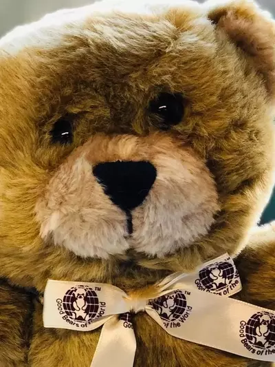 Die psychologische Bedeutung von Kuscheltieren für Kinder in Notlagen