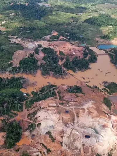Abholzung des Amazonas-Regenwaldes: Eine globale Herausforderung