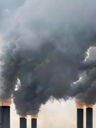 CO2-Entfernung aus der Atmosphäre: Eine Klimarettung mit Hindernissen
