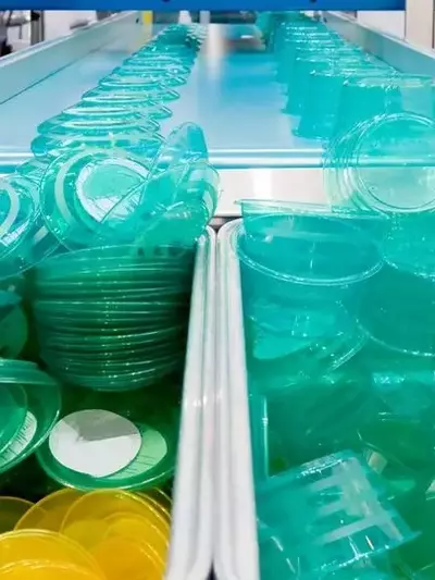 Recycling von Kunststoffen als Schlüssel zum Klimaschutz