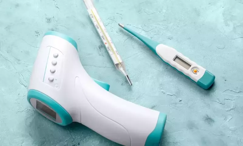   How Digital Thermometers Work: A Technical Overview