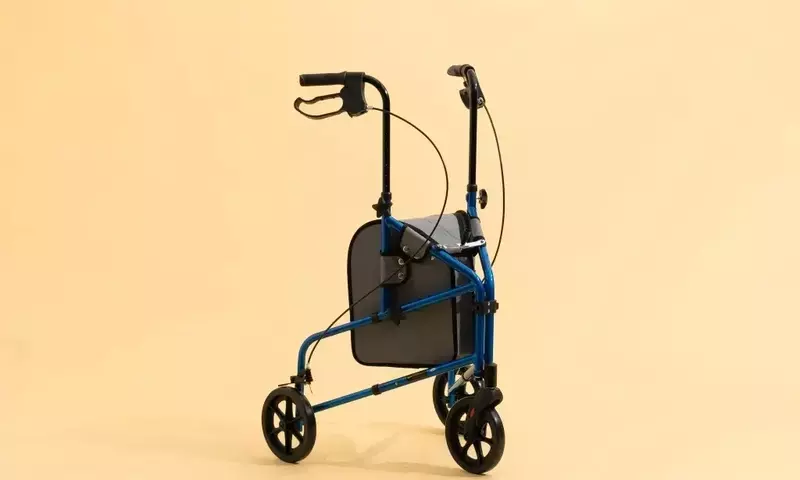 Understanding Mobility Walkers: A Comprehensive Technical and Functional Overview