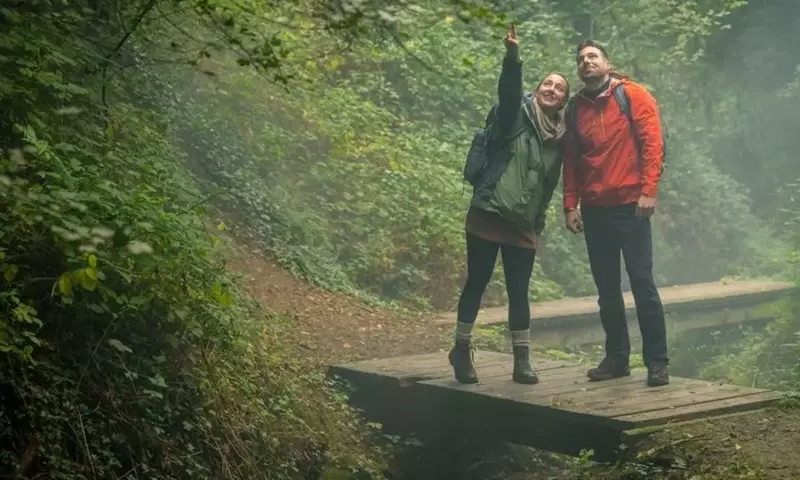 Neue Wanderwege im Ahrtal: Ein touristischer Neubeginn nach der Flut