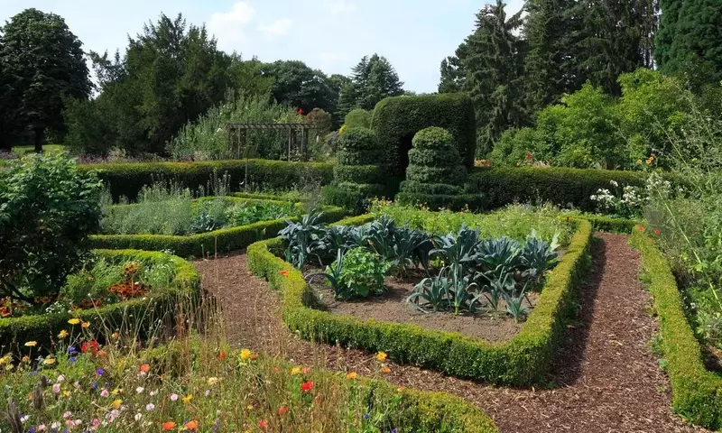 Königliche Pracht im Küchengarten: Anbau von Gemüse mit Ästhetik
