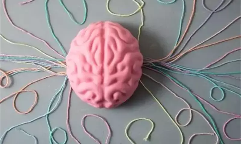 Parkinson: Erkenntnisse und Alltagshilfen für Betroffene