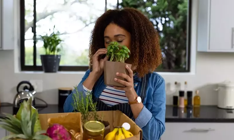 Lebensmittel frisch halten: Innovative Strategien für heiße Sommertage