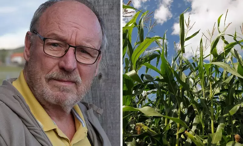 Pestizide und Parkinson: Ein tödlicher Zusammenhang in der Landwirtschaft