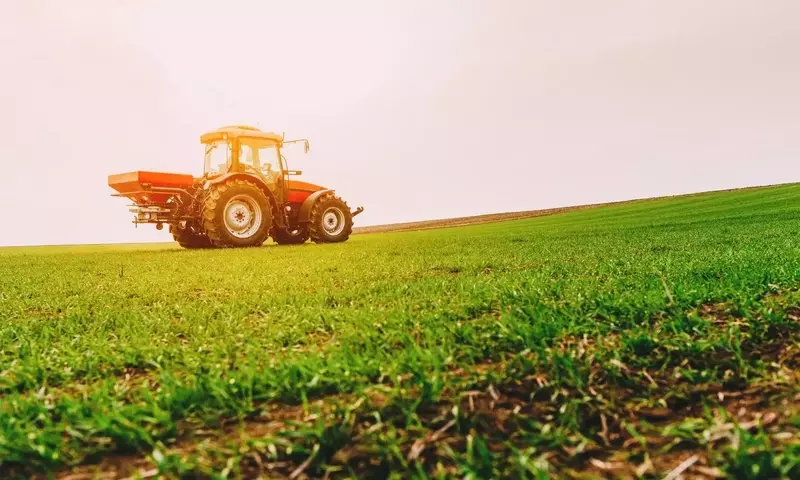 Ernährungssicherheit: Der Einfluss von Konflikten auf die globale Lebensmittelproduktion