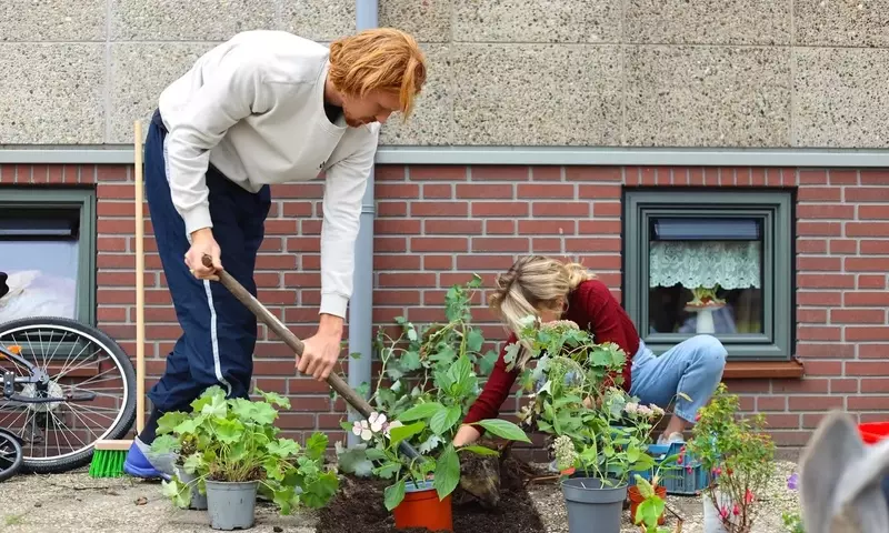 Städte werden grüner: Gehwegplatten weichen blühenden Oasen