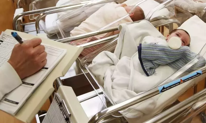 Declining Birth Rates in the U.S.: A National Concern