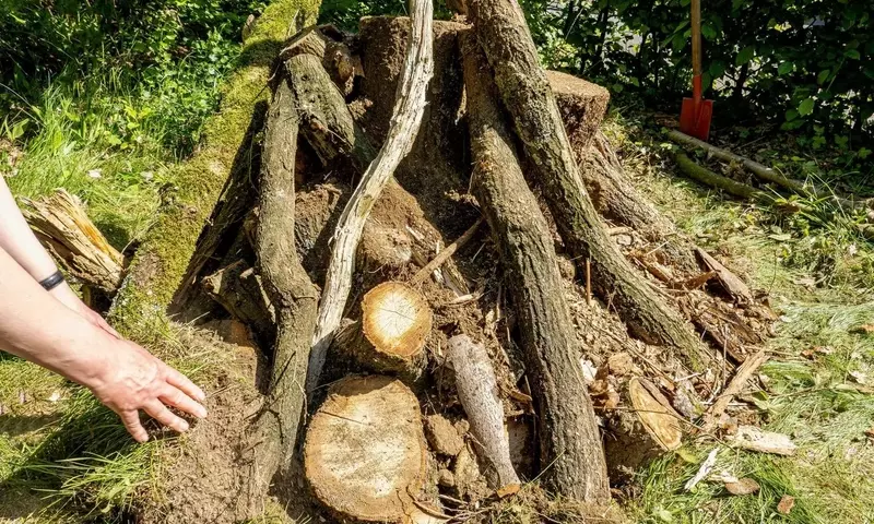 Ein naturnaher Lebensraum: So gestalten Sie einen Käferkeller im Garten