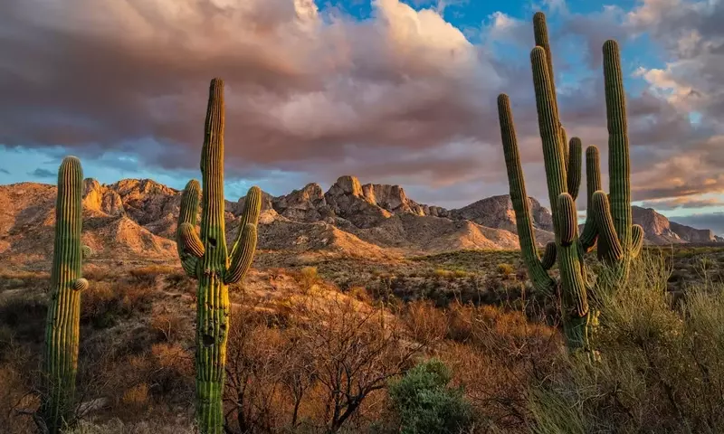 Tucson: The Southwest's Unsung Gem for Travelers