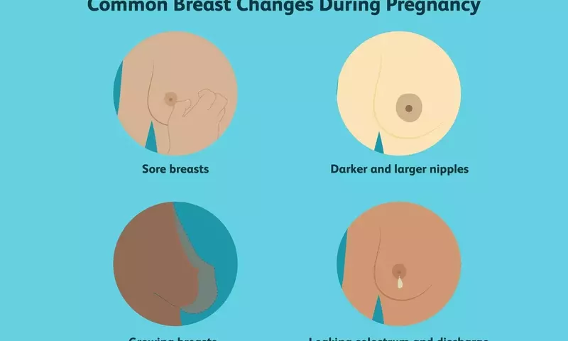 Understanding Breast Transformations During Pregnancy: A Comprehensive Guide