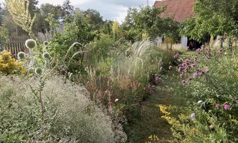 Die Harmonie im Garten: Naturverbunden Gärtnern