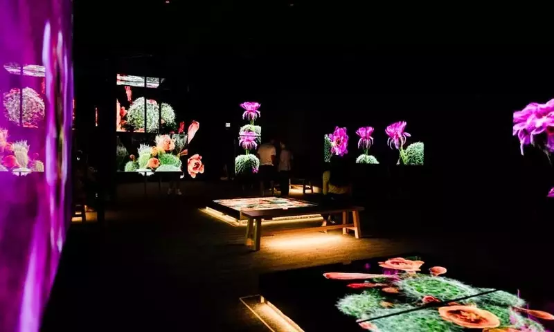 3D Scans Unveil Sonoran Desert's Hidden Life, Informing Conservation Efforts