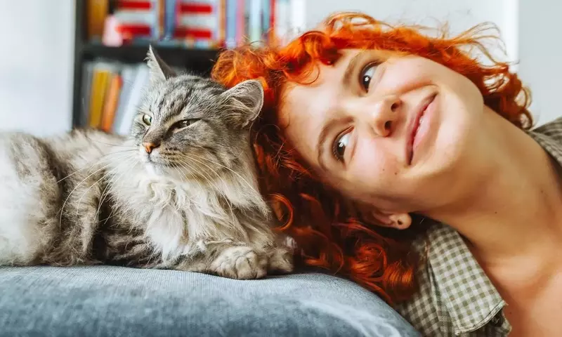 Genetische Wurzeln der Tierliebe: Eine Untersuchung