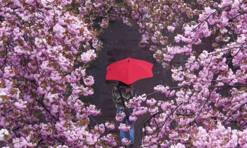 Frühjahrsmelancholie: Ein Mythos oder eine echte Belastung?