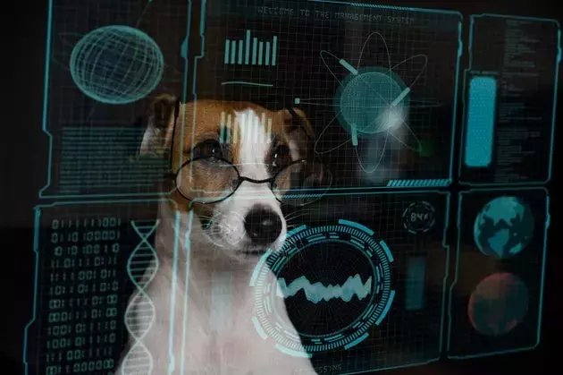 Datadog: Essential Platform Amid AI-Driven Complexity