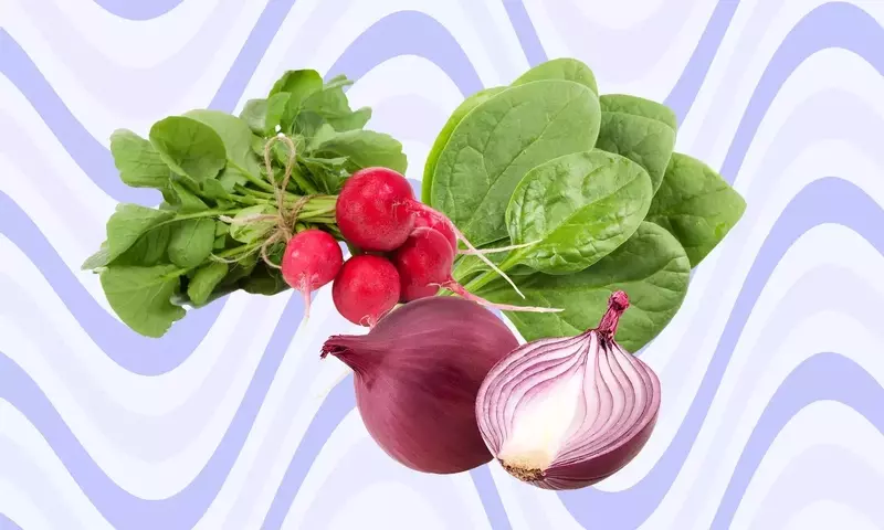 Maximizing Nutrition: The Benefits of Raw Foods