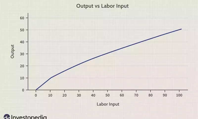 The Economic Principle of Diminishing Marginal Productivity