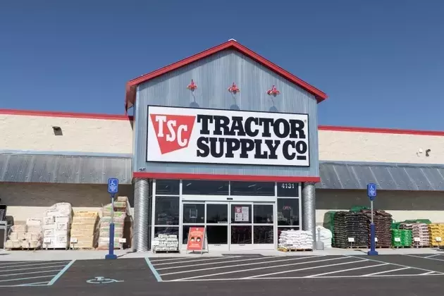 Tractor Supply: Navigating Uncertainty with Dividend Stability
