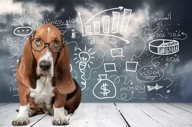 Identifying Secure Dividend Stocks Among Top ESG Performers for April