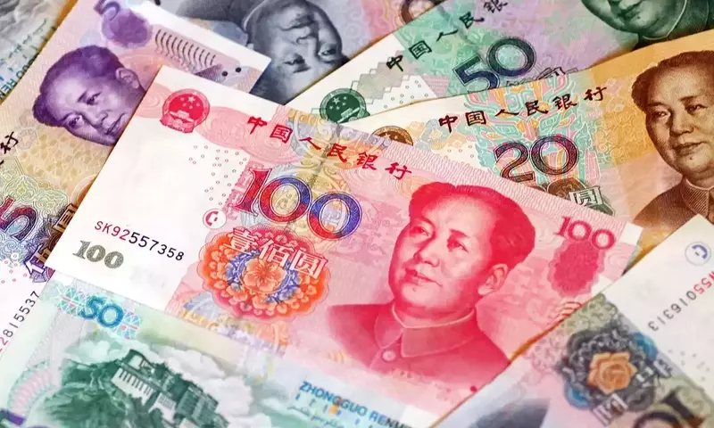 Understanding the Chinese Yuan Renminbi (CNY)