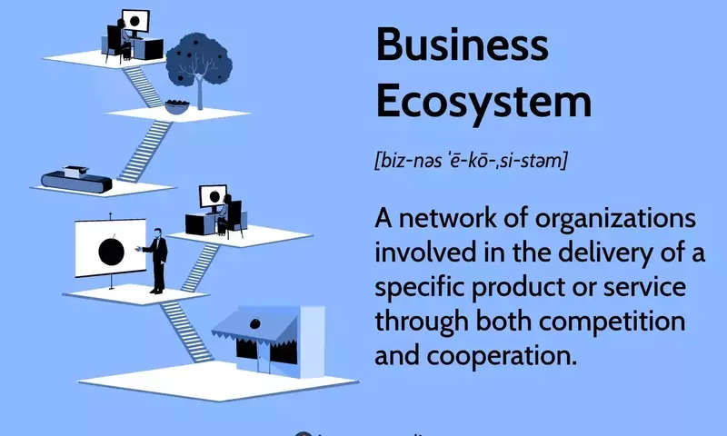 Understanding Business Ecosystems: Collaboration, Competition, and Evolution