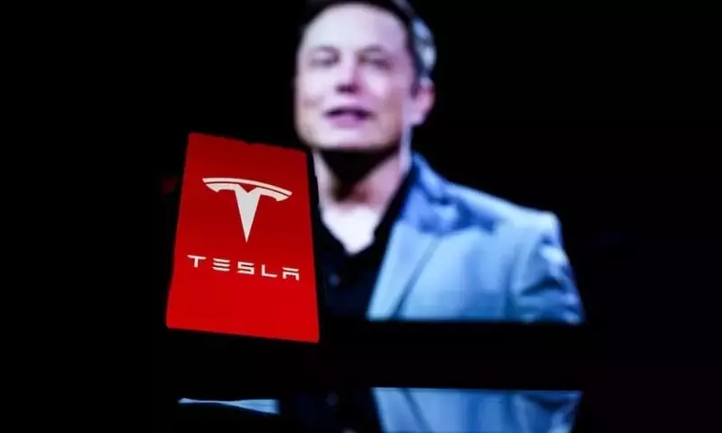 Analyst Questions Tesla's Valuation Amidst FSD Progress Doubts