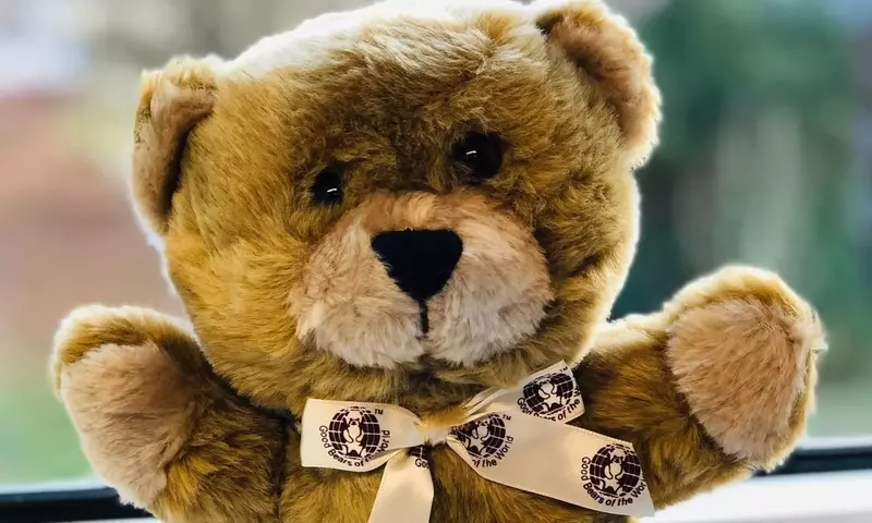 Die psychologische Bedeutung von Kuscheltieren für Kinder in Notlagen