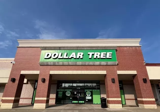 Dollar Tree: A Promising Investment in Times of Economic Uncertainty