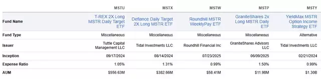 Understanding the T-REX 2X Long MSTR Daily Target ETF: Risks and Suitability