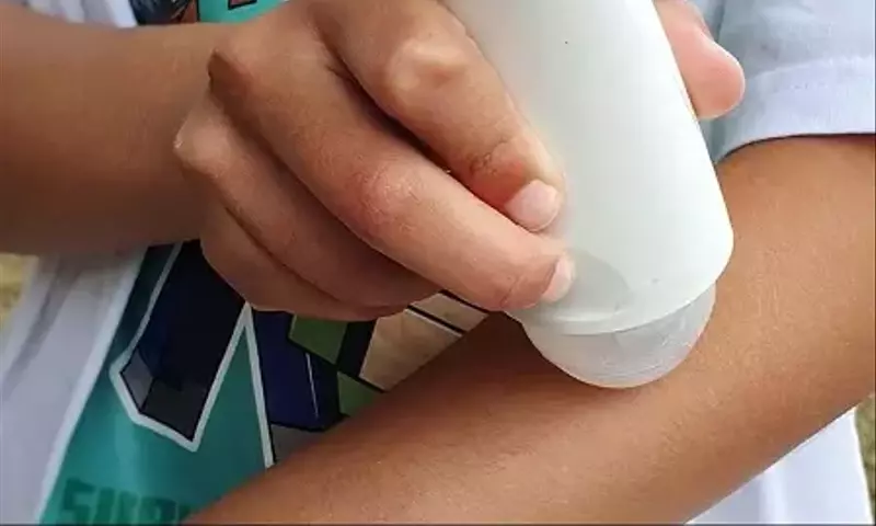 Hausgemachter, ungiftiger Mückenschutz: Einfache Rezepte für eine stichfreie Sommerzeit