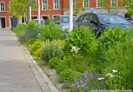Die entscheidende Rolle urbaner Grünflächen für eine zukunftsfähige Stadtentwicklung