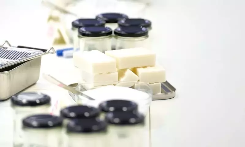 Nachhaltigkeit im Alltag: Workshops mit Alexandra Achenbach