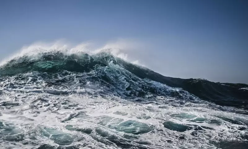 Die Trennung der Ozeanschichten: Eine Bedrohung für das marine Leben