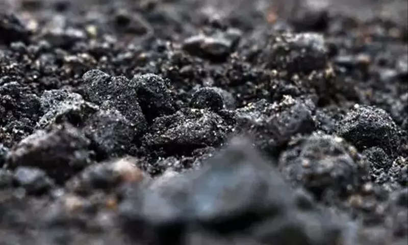 Terra Preta: Schwarzerde für Garten und Klima