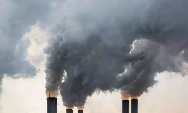 CO2-Entfernung aus der Atmosphäre: Eine Klimarettung mit Hindernissen