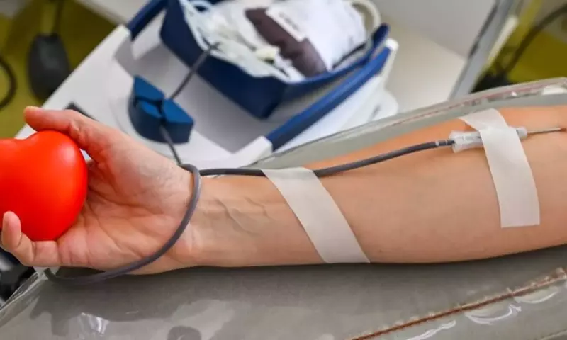 Umgang mit Kreislaufproblemen bei Blutspenden: Prävention und Reaktion