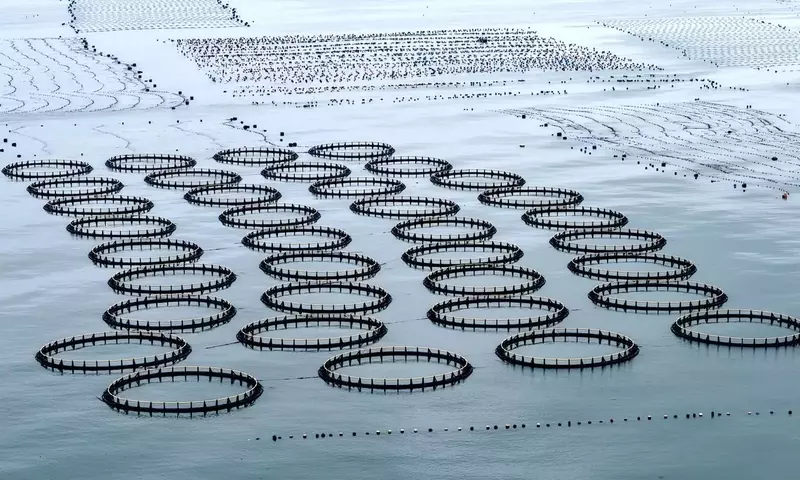 Globale Fischereiproduktion erreicht historischen Höchststand, doch Nachhaltigkeit bleibt Sorge