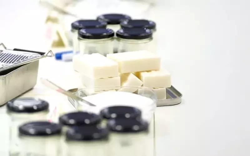 Nachhaltigkeit im Alltag: Workshops mit Alexandra Achenbach